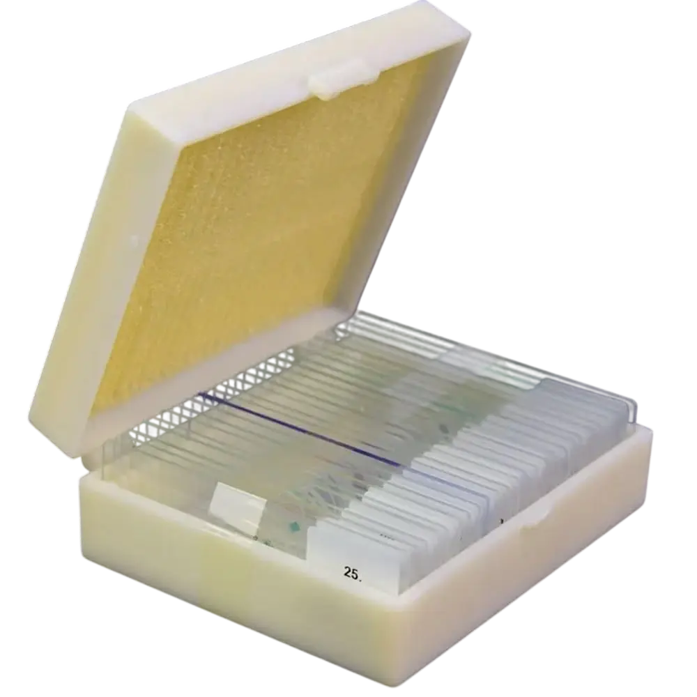 Kit de preparados histológicos